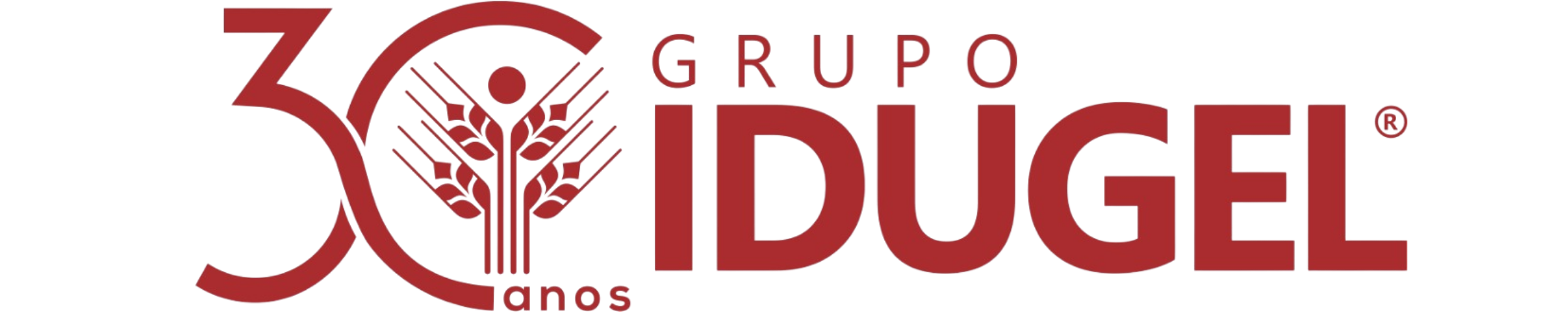Grupo Idugel — 30 anos